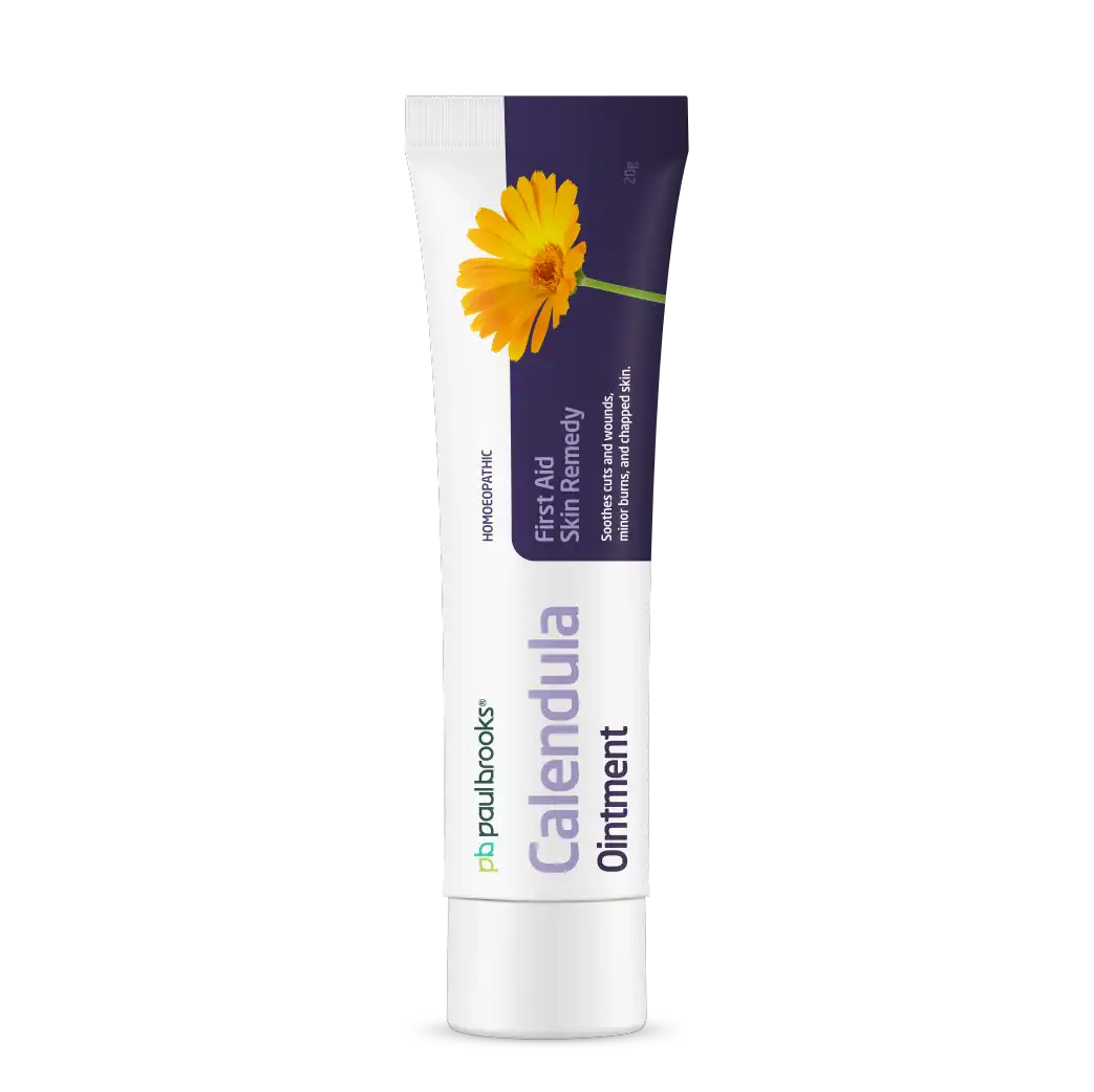 Calendula Ointment by Paul Brooks