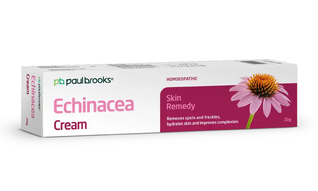 Echinacea Cream by Paul Brooks
