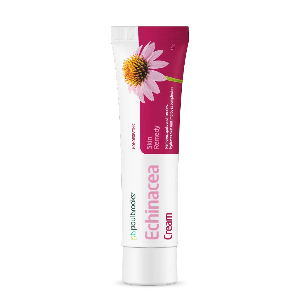 Echinacea Cream by Paul Brooks