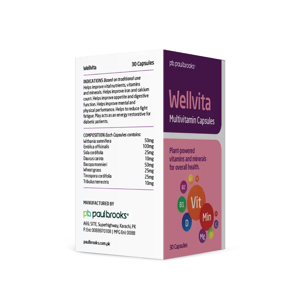 Wellvita Multivitamin Capsule by Paul Brooks
